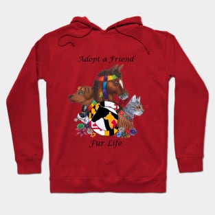 Woodstock Adoption Design Hoodie